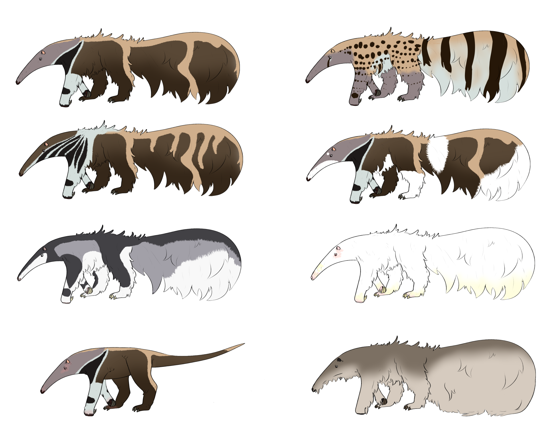 Eight anteaters walking horizontally in a grid pattern. Each of them is showing a different color scheme, as described below.